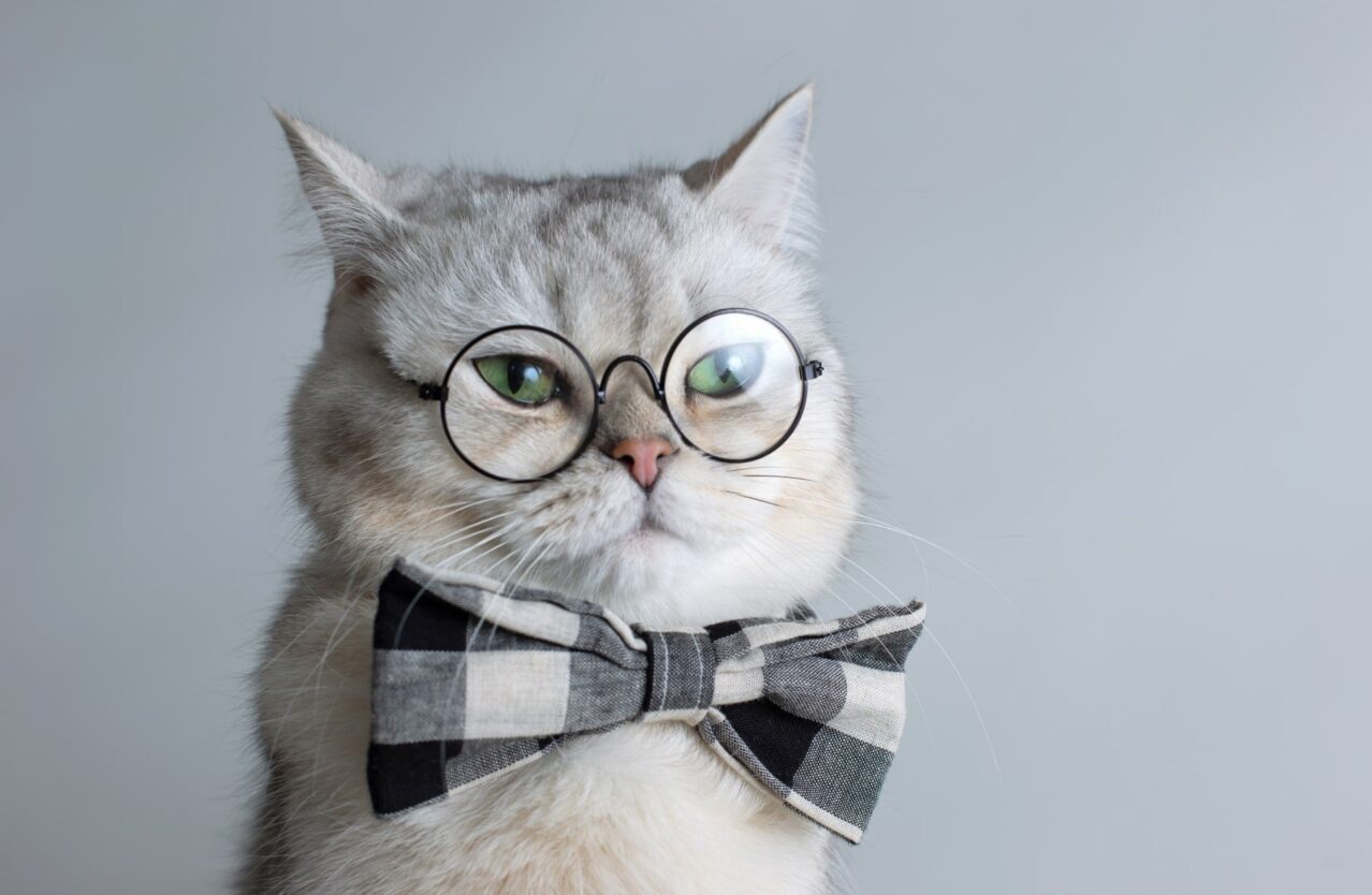 Find Your Inner Nerd Day Official